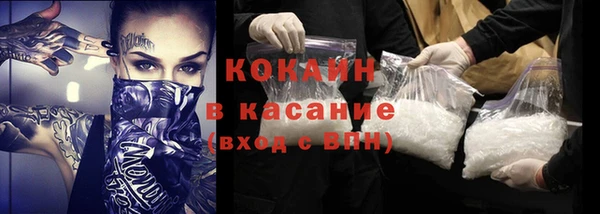 твердый Мегион