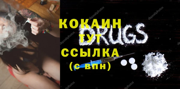 твердый Мегион