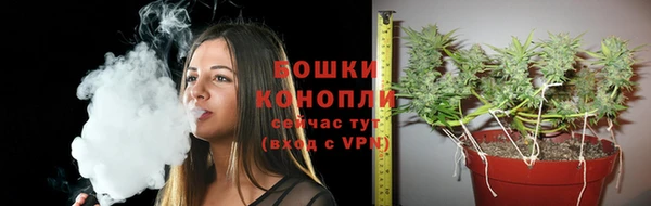 твердый Мегион
