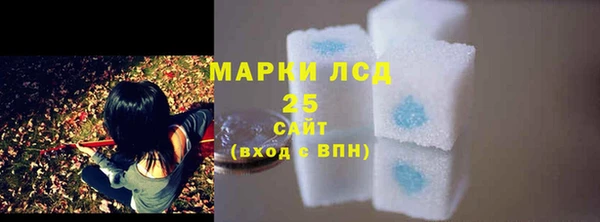 твердый Мегион