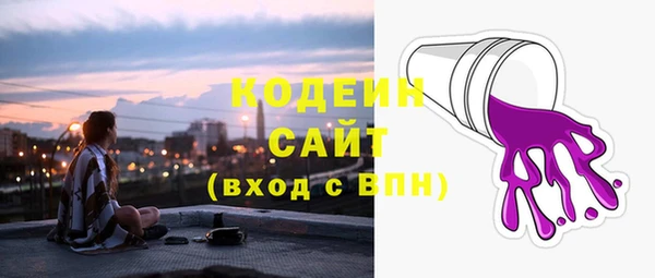 шишки Михайловск