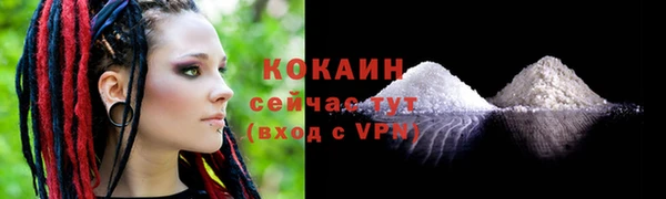 крисы Медногорск