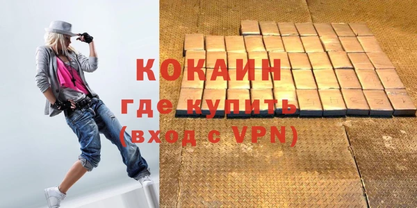 твердый Мегион